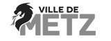 ville-de-metz-duoviri