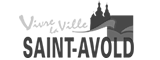 ville-de-saint-avold-duoviri